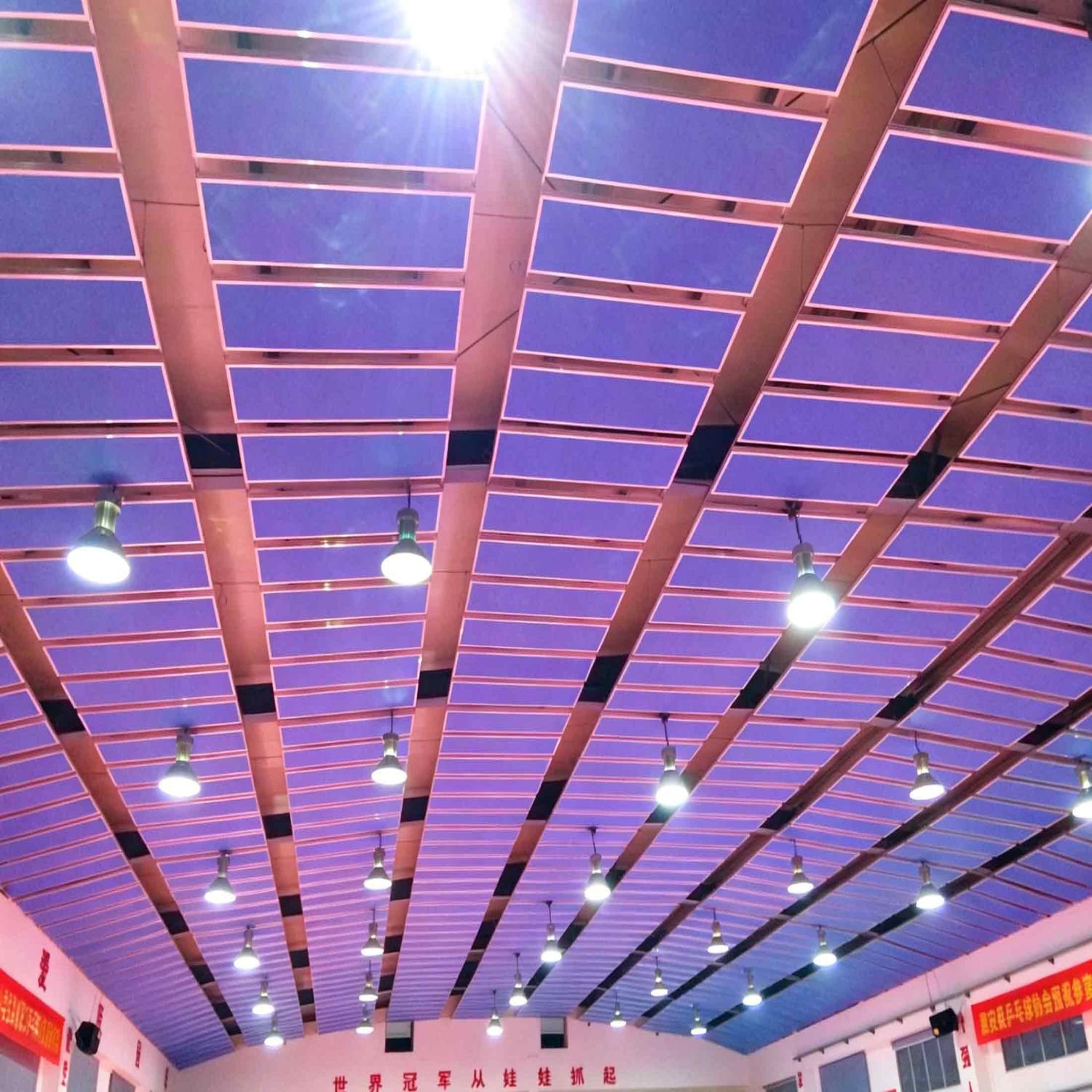 School & Gymnasium Acoustic Projects