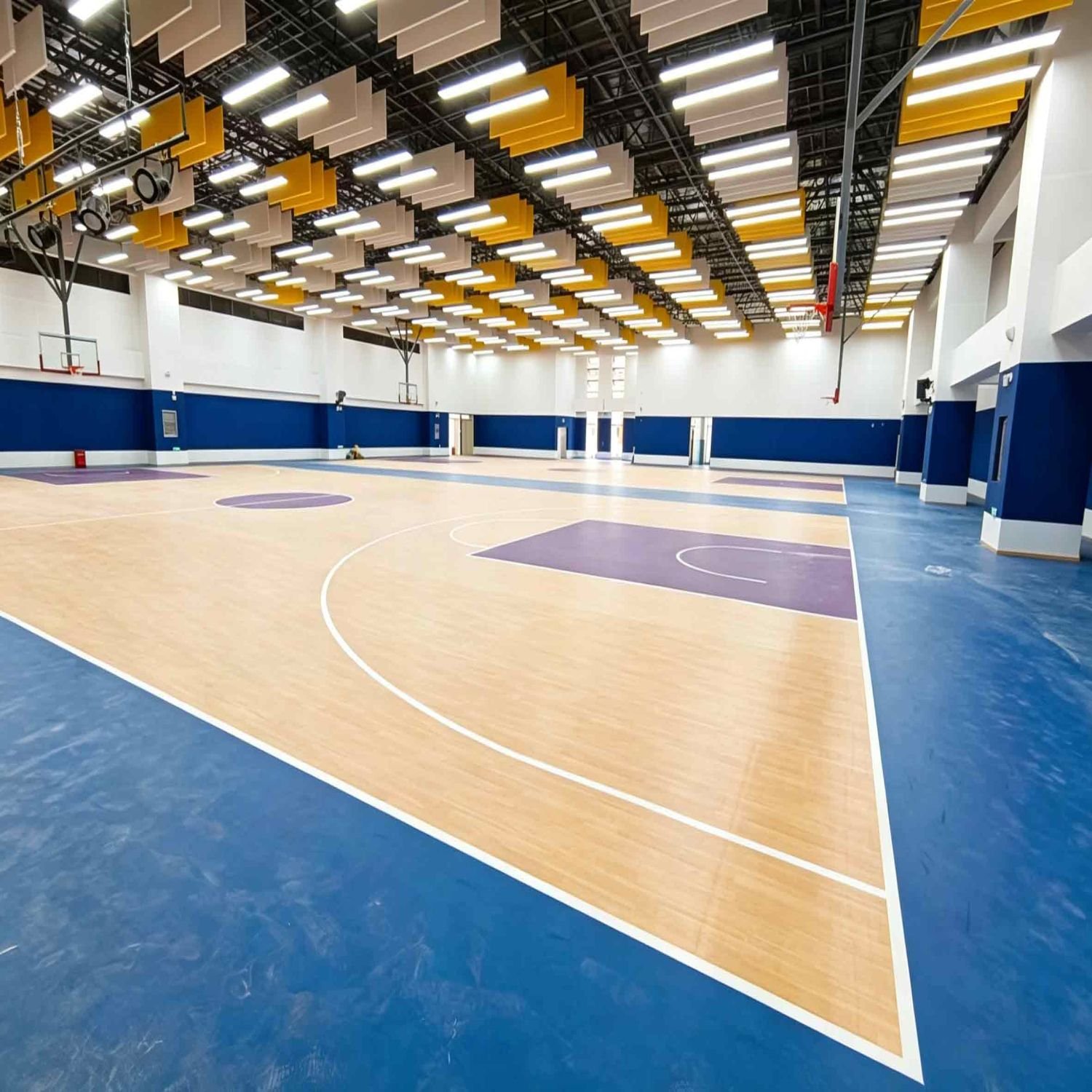 Primary School Acoustic Panels